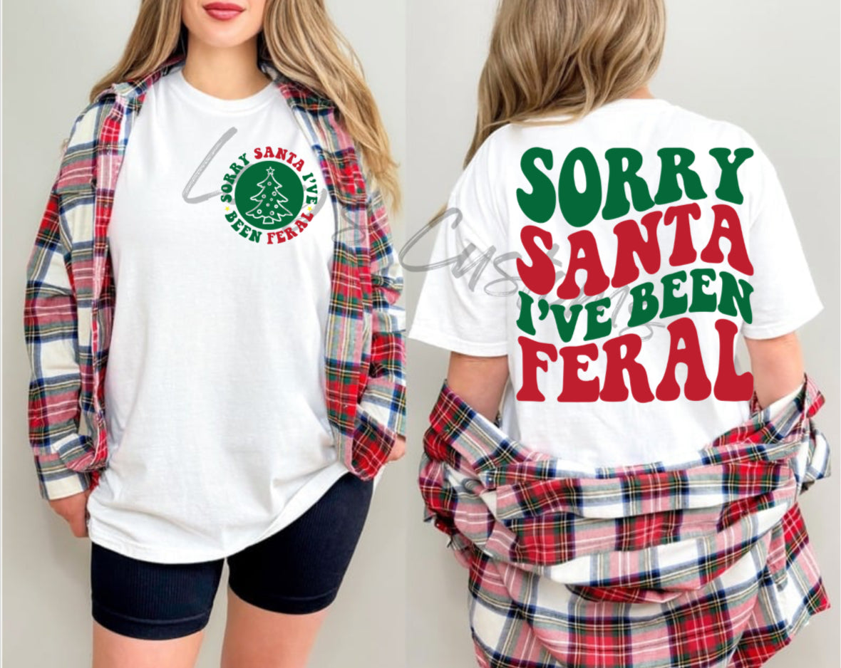 Sorry Santa (2)